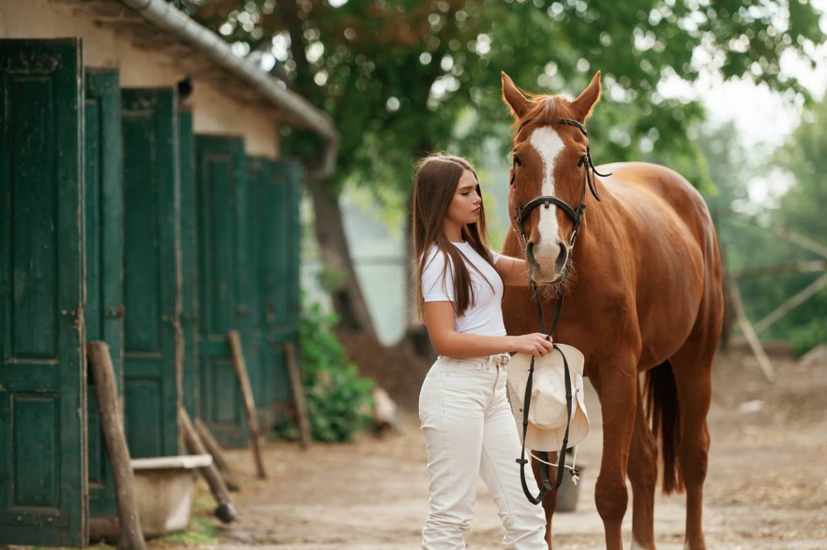 Wesentliche Nahrungsergänzungsmittel für das Wohlbefinden von Pferden 2026 1 image-les-complements-alimentaires-essentiels-pour-le-bien-etre-equin