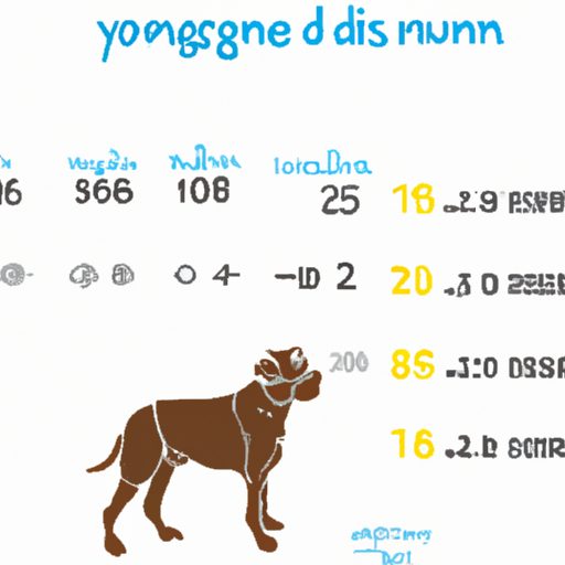 Wie erkennt man das Alter eines Hundes? Methoden und praktische Ratschläge 1 Comment savoir l’âge d’un chien ? Méthodes et conseils pratiques