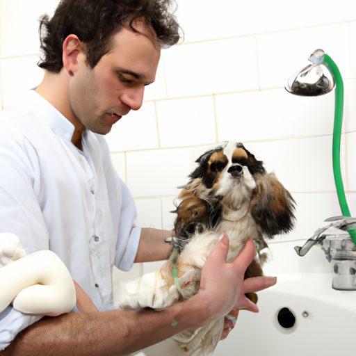 Wie oft waschen Sie Ihren Hund? An jede Rasse angepasste Beratung 1 Combien de fois laver son chien ? Conseils adaptés à chaque race