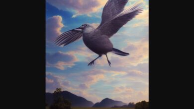 Nandou, oiseau, fascinant, peu connu.