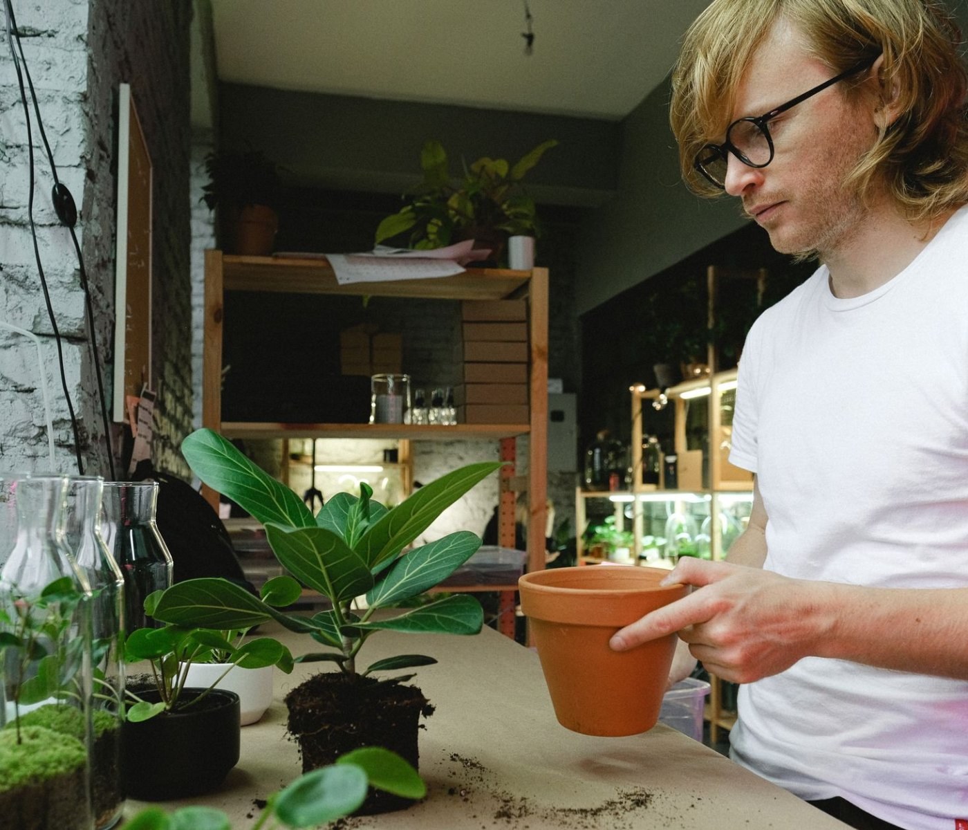 Terrarium Luftfeuchtigkeit messen: So erkennen und beheben Sie das Problem der falschen Feuchtigkeit 1 Terrarium Luftfeuchtigkeit messen: So erkennen und beheben Sie das Problem der falschen Feuchtigkeit