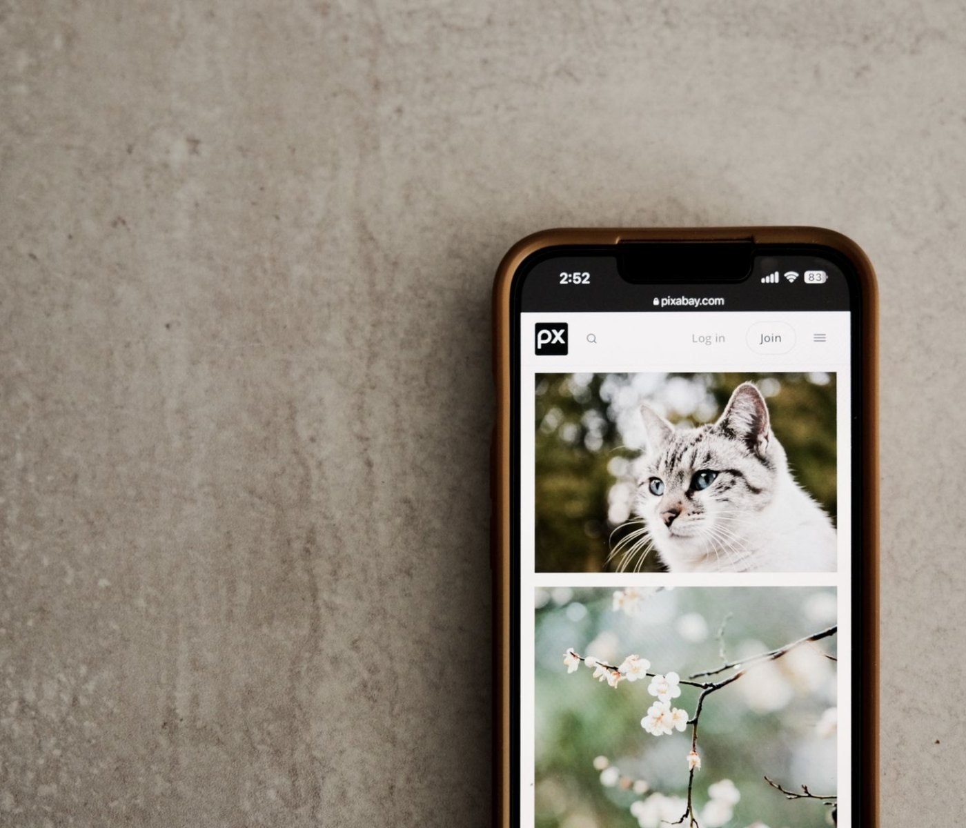 Apps zur Tiergesundheit: Die besten digitalen Helfer für Ihr Haustier 1 Apps zur Tiergesundheit: Die besten digitalen Helfer für Ihr Haustier